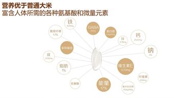 智谷良品 構(gòu)建新消費(fèi)時(shí)代的智慧生活品牌全案策略